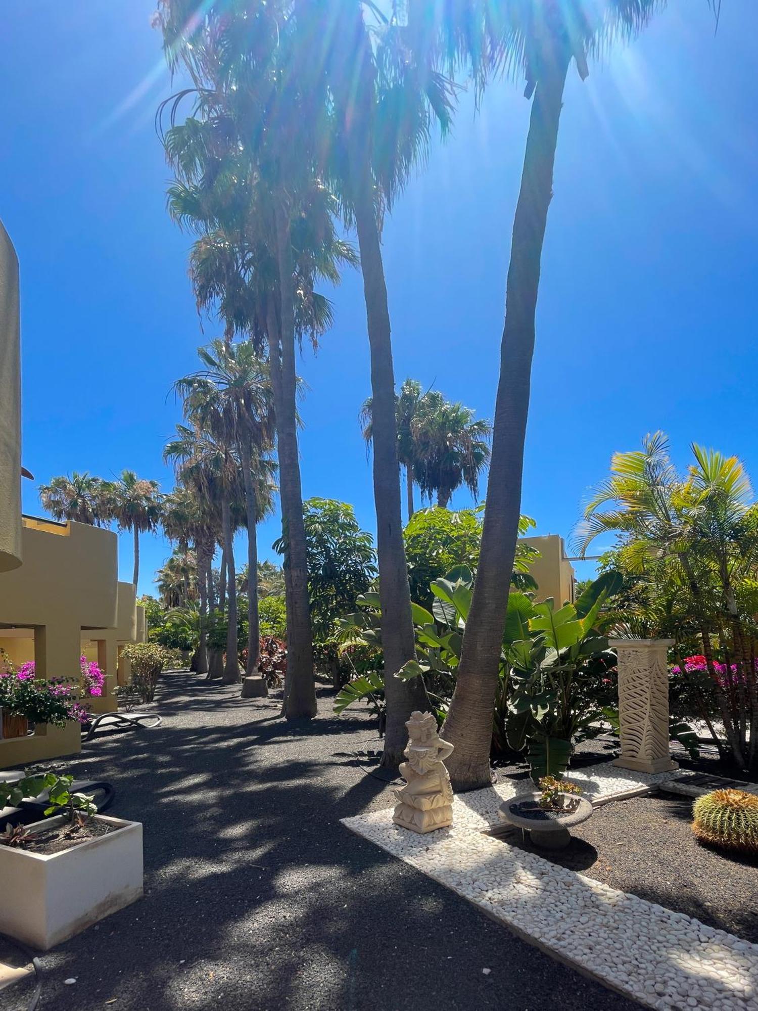 B-Rent Atlantic Garden 181 Apartment Corralejo Luaran gambar